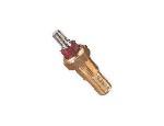 Engine Coolant Temperature Sensor (ECTS)