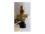 Engine Coolant Temperature Sensor (ECTS)