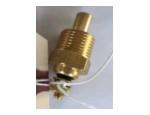 Engine Coolant Temperature Sensor (ECTS)