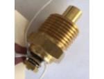 Engine Coolant Temperature Sensor (ECTS)
