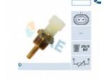 Engine Coolant Temperature Sensor (ECTS)