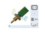 Engine Coolant Temperature Sensor (ECTS)