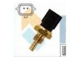 Engine Coolant Temperature Sensor (ECTS)