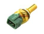 Engine Coolant Temperature Sensor (ECTS)