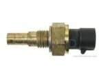 Engine Coolant Temperature Sensor (ECTS)