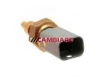 Engine Coolant Temperature Sensor (ECTS)