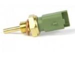 Engine Coolant Temperature Sensor (ECTS)
