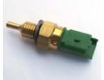 Engine Coolant Temperature Sensor (ECTS)