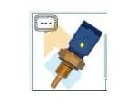 Engine Coolant Temperature Sensor (ECTS)