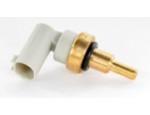 Engine Coolant Temperature Sensor (ECTS)