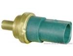 Engine Coolant Temperature Sensor (ECTS)