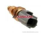 Engine Coolant Temperature Sensor (ECTS)