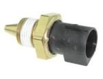 Engine Coolant Temperature Sensor (ECTS)