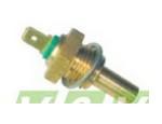 Engine Coolant Temperature Sensor (ECTS)