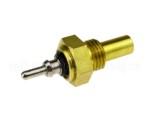 Engine Coolant Temperature Sensor (ECTS)