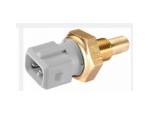 Engine Coolant Temperature Sensor (ECTS)