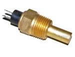 Engine Coolant Temperature Sensor (ECTS)