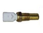 Engine Coolant Temperature Sensor (ECTS)