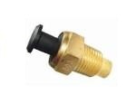 Engine Coolant Temperature Sensor (ECTS)