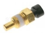 Engine Coolant Temperature Sensor (ECTS)