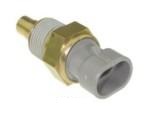 Engine Coolant Temperature Sensor (ECTS)