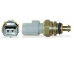 Engine Coolant Temperature Sensor (ECTS)