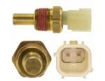 Engine Coolant Temperature Sensor (ECTS)