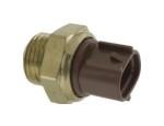 Thermal Switch