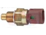 Thermal Switch