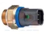 Thermal Switch