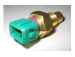 Thermal Switch