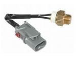 Thermal Switch