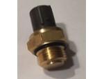 Thermal Switch