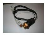 Thermal Switch