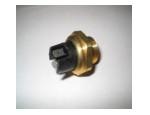 Thermal Switch