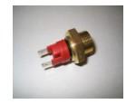 Thermal Switch