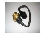 Thermal Switch