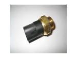 Thermal Switch