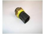Thermal Switch