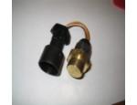Thermal Switch