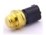 Thermal Switch
