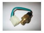 Thermal Switch