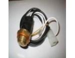 Thermal Switch