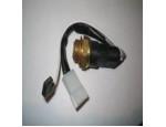 Thermal Switch