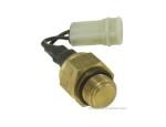 Thermal Switch
