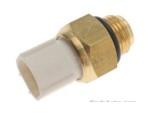 Thermal Switch