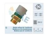 Thermal Switch