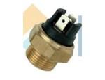 Thermal Switch