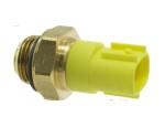 Thermal Switch