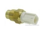 Thermal Switch